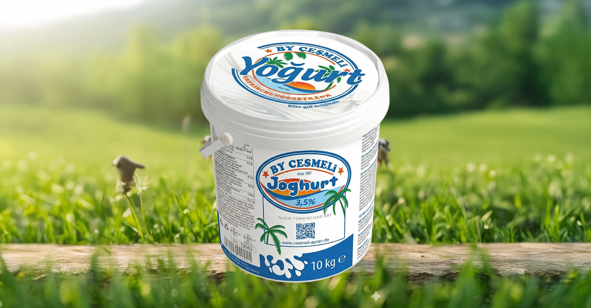 Joghurt, www.cesmeli-ayran.de
