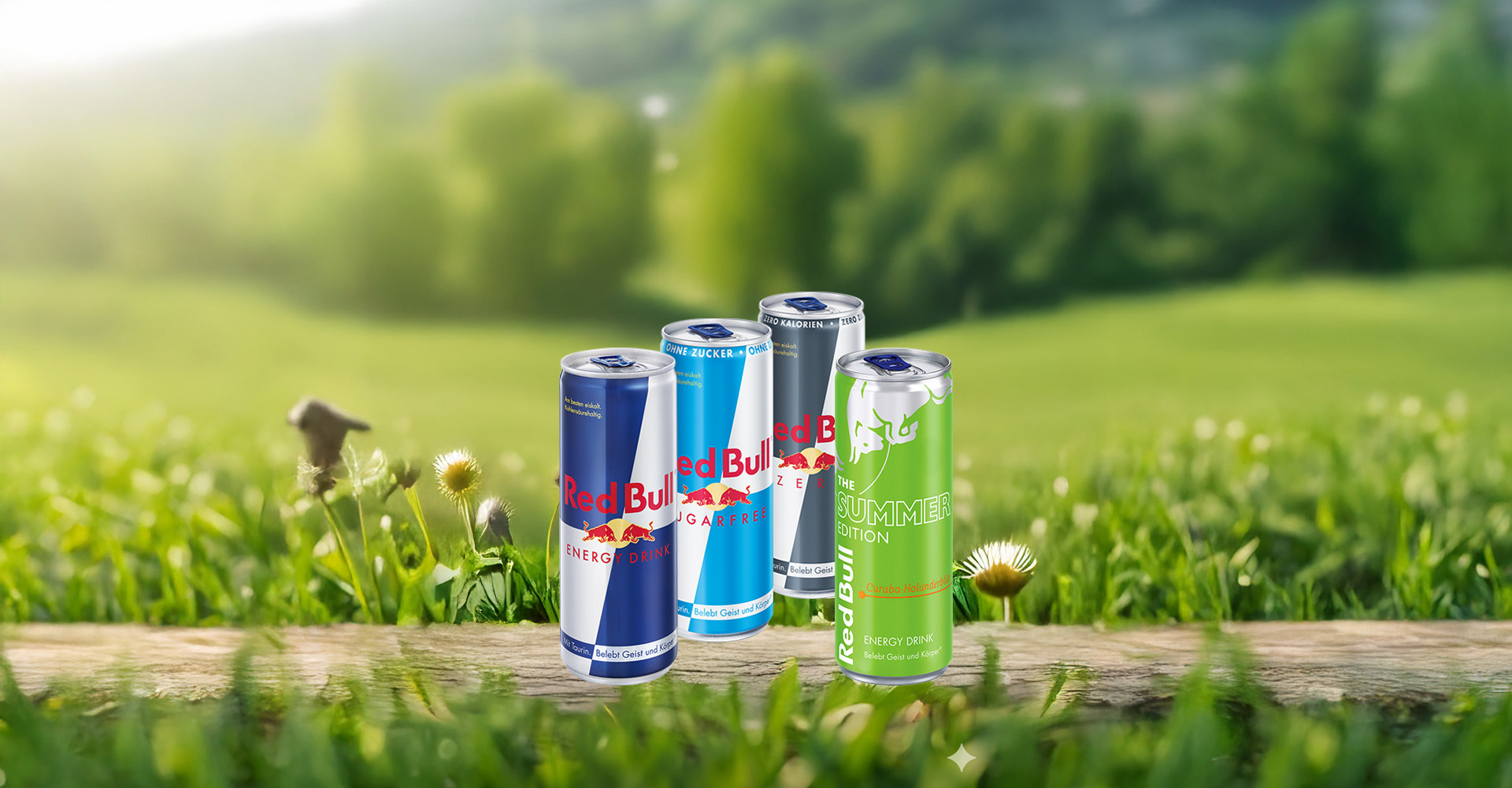 Red Bull Sorten, www.cesmeli-ayran.de