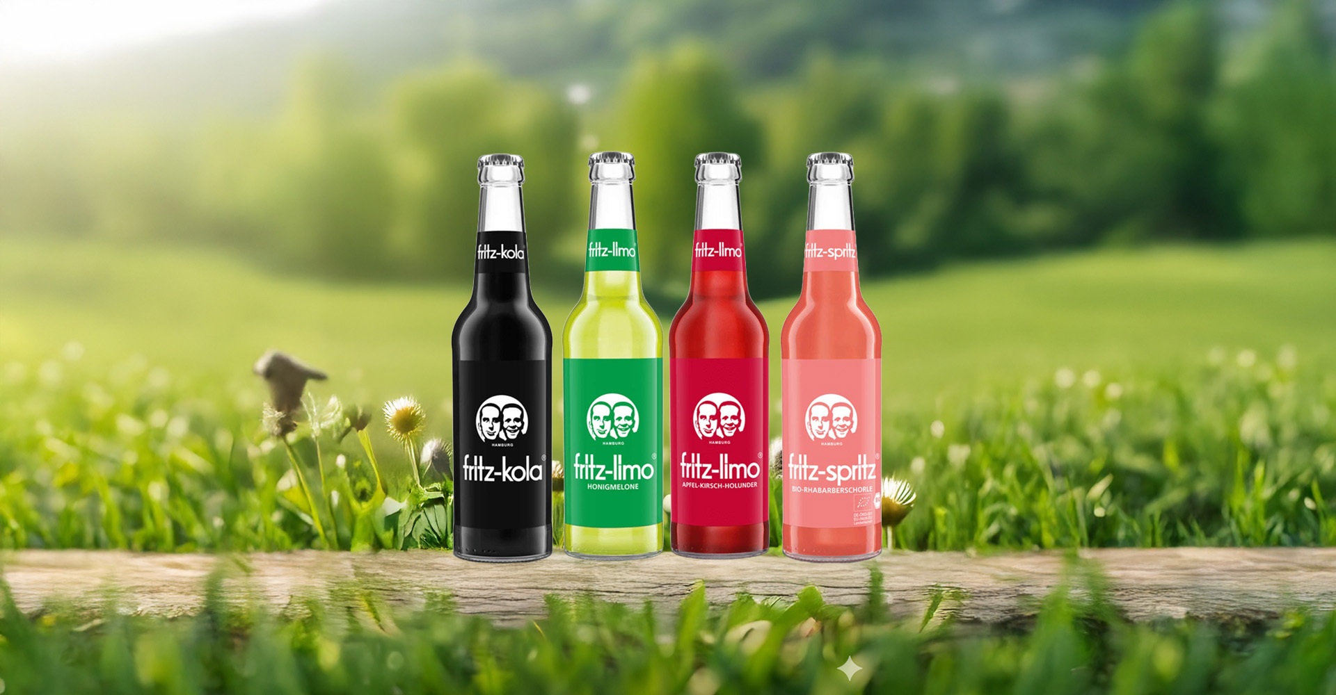 Fritz Cola Sorten, www.cesmeli-ayran.de