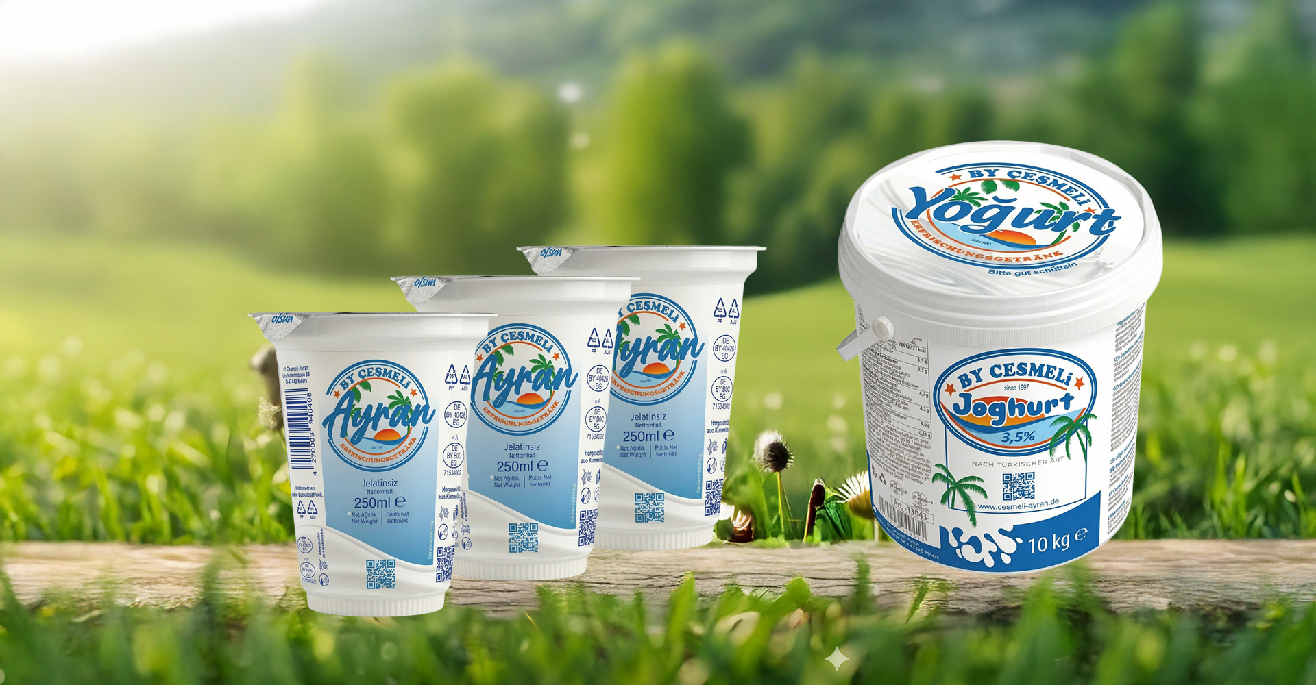 www.cesmeli-ayran.de