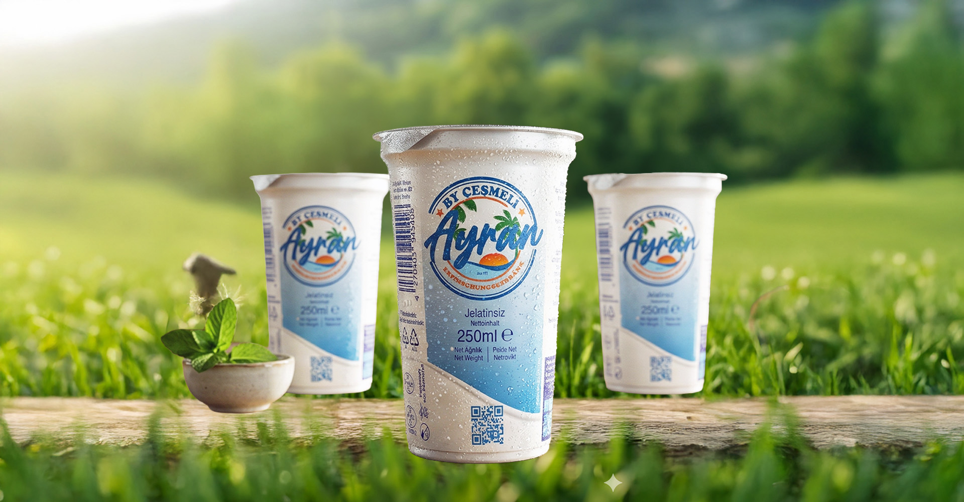 Ayran, www.cesmeli-ayran.de