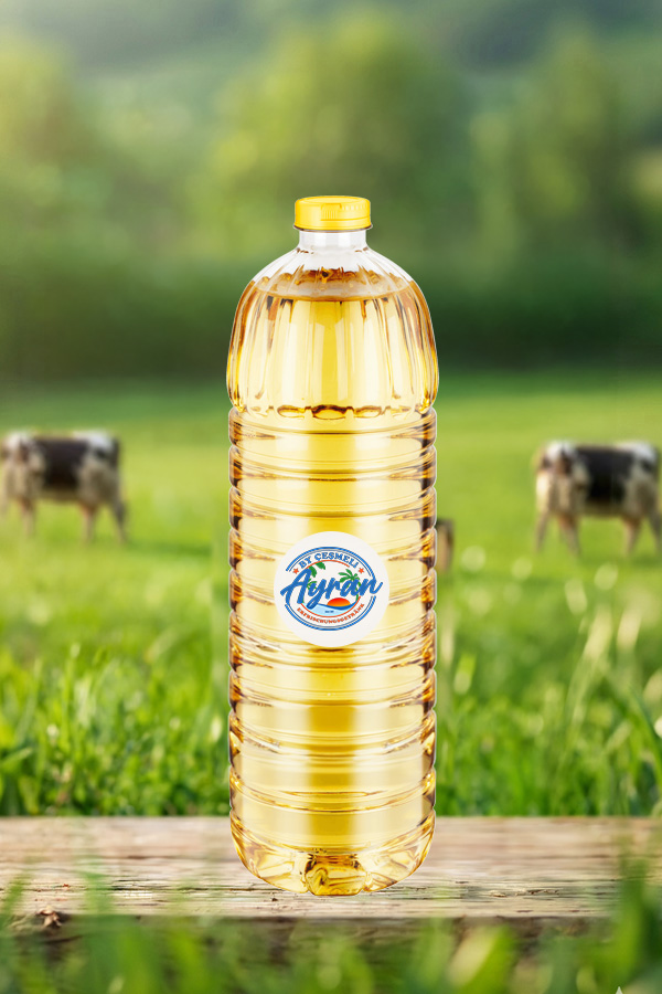 www.cesmeli-ayran.de